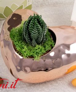 Vaso Cuore Oro orizzontale con Piantina – 25142P Claraluna